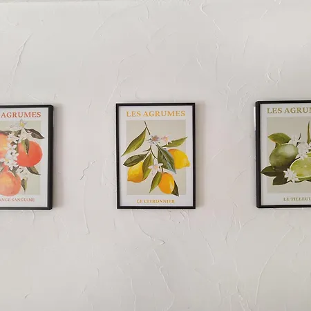 아파트 Studio Les Mimosas Yourhosthelper